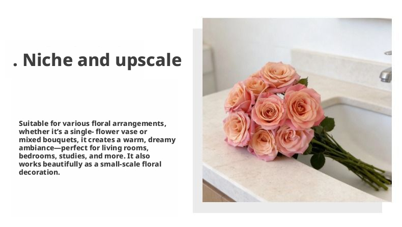 Fresh Cut Miss Piggy Rose | Miss Zhu Peach Pink Ombre Long Stem Cut Rose for Wedding Bouquet