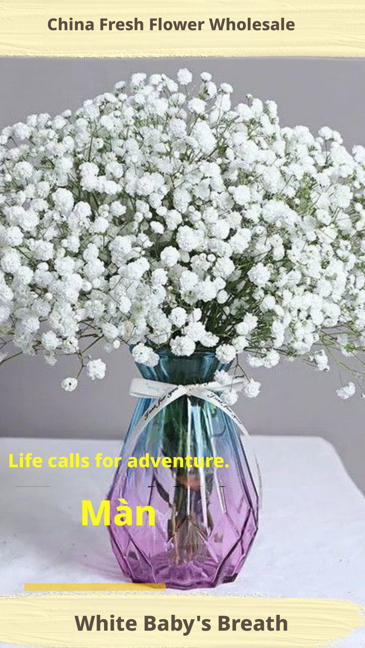 Yunnan Kunming Fresh Gypsy Bouquet | Natural Fresh Cut Flowers | Wedding Floral Home Decoration Flowers
