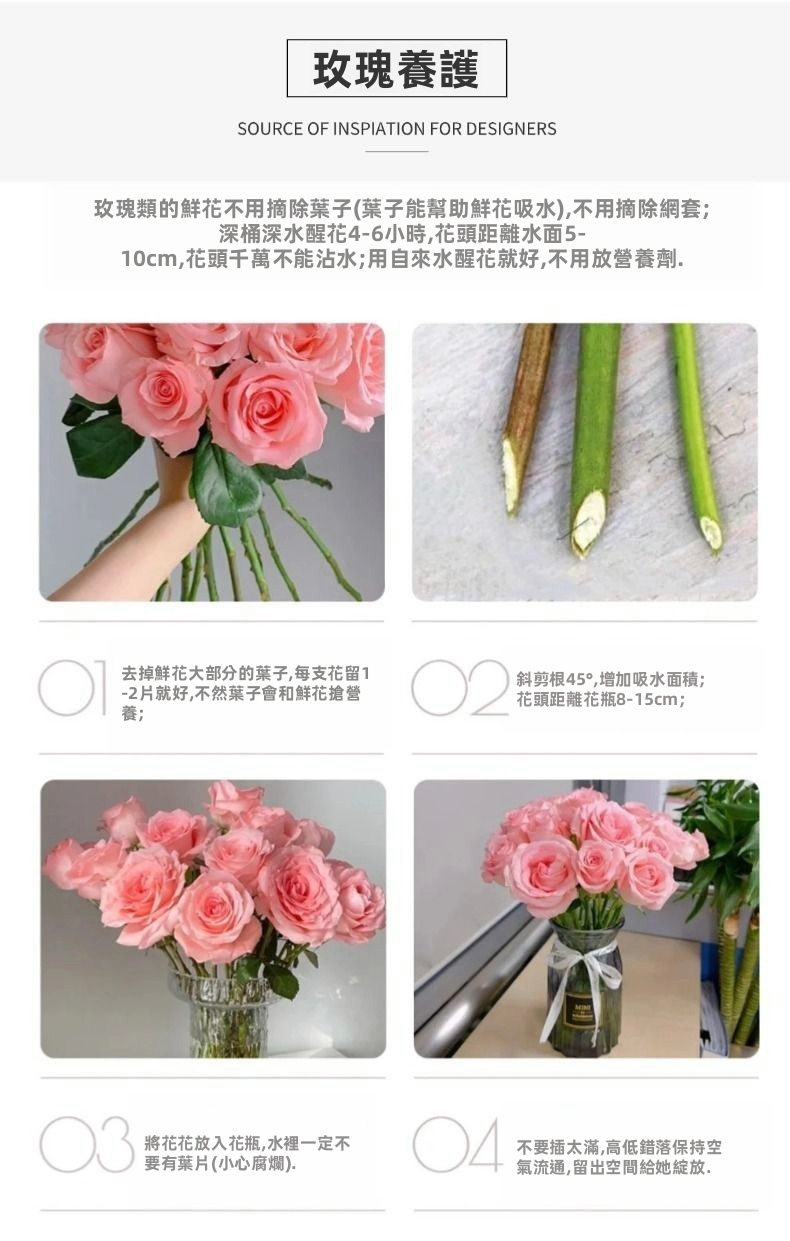Fresh Cut Princess Diana Rose Elegant Peach Pink Long Stem Hybrid Tea Rose for Wedding Bouquet