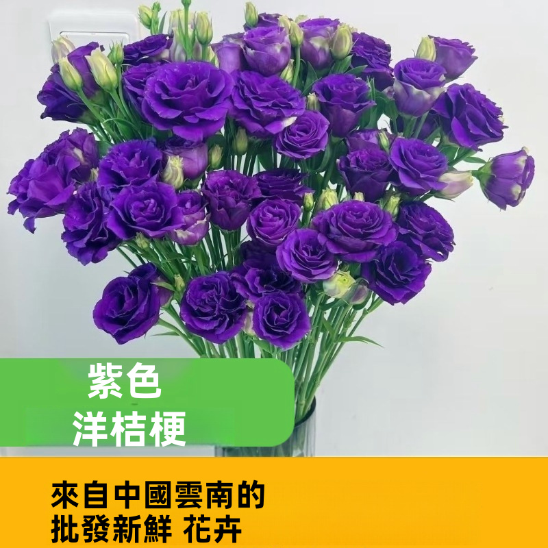 Assorted Multicolor Lisianthus Eustoma Fresh Cut Stems Bulk White Pink Purple Green Mixed Blooms