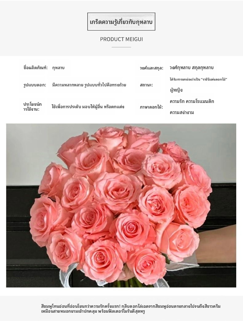เจ้าหญิงไดอาน่าโรสตัดสด | กุหลาบชาไฮบริดก้านยาวสีชมพูพีชหรูหราสำหรับช่อดอกไม้งานแต่งงาน