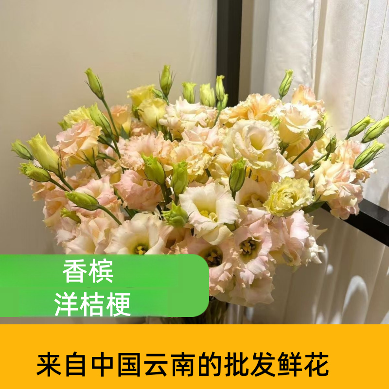Assorted Multicolor Lisianthus Eustoma Fresh Cut Stems Bulk White Pink Purple Green Mixed Blooms