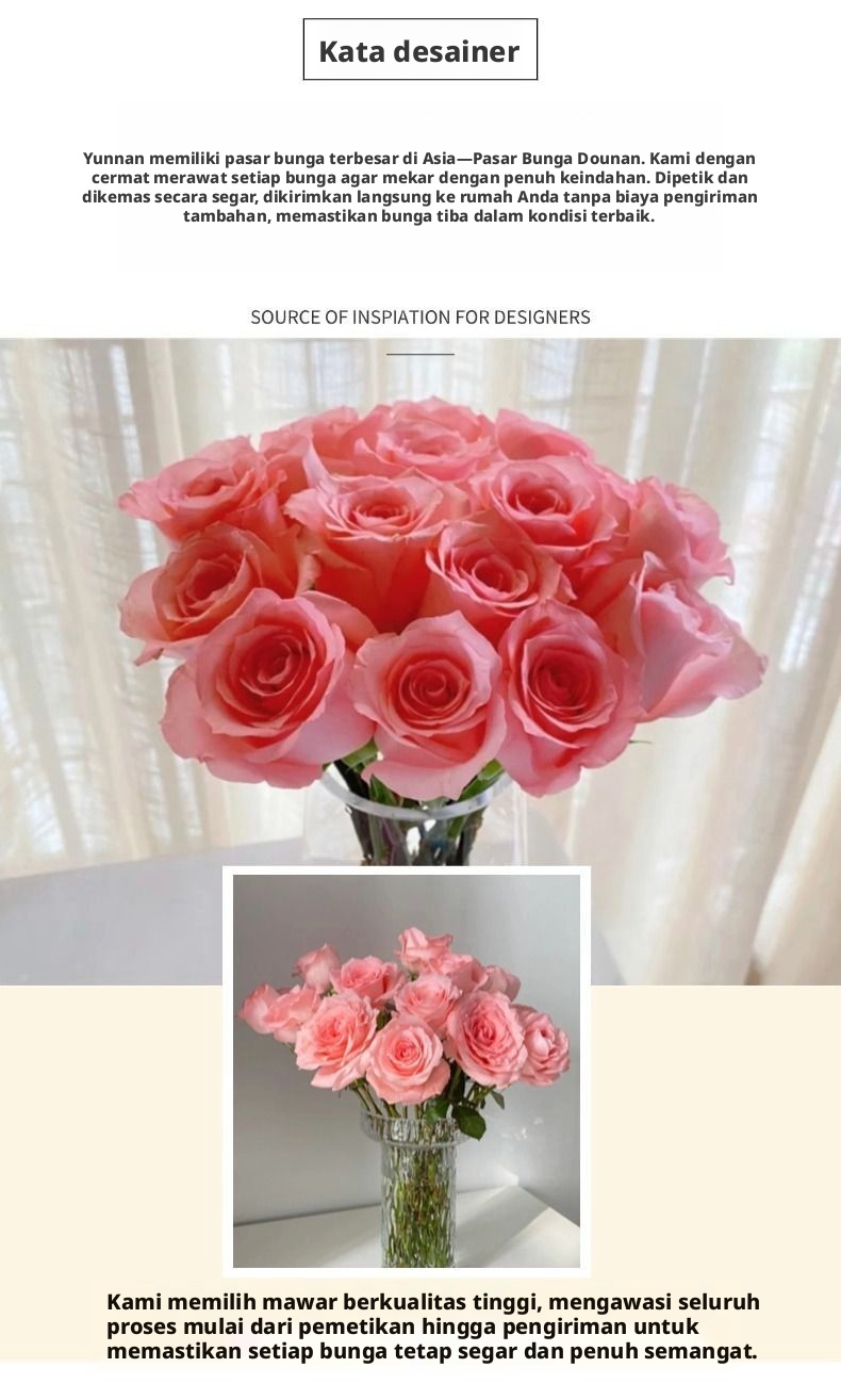 Potong Segar Putri Diana Rose | Mawar Teh Hibrida Batang Panjang Peach Pink yang Elegan untuk Buket Pernikahan