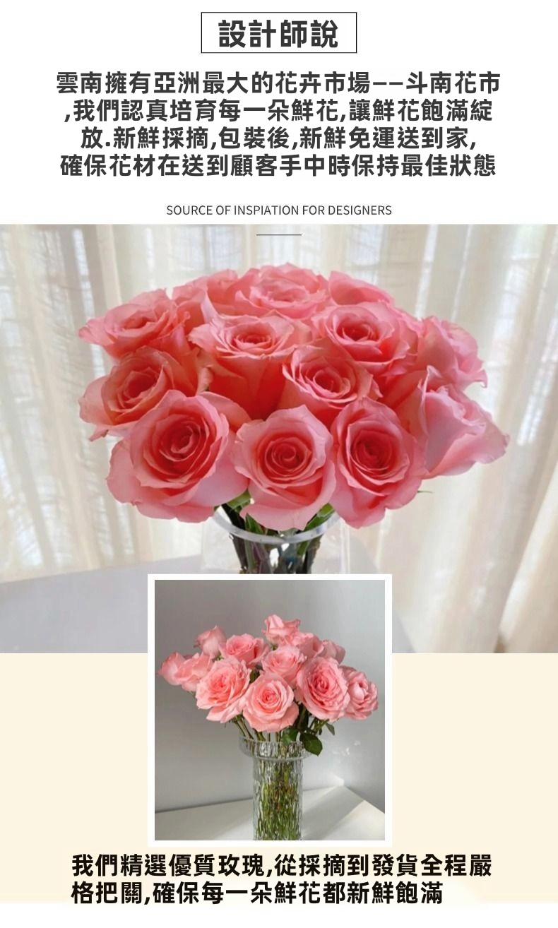 Fresh Cut Princess Diana Rose Elegant Peach Pink Long Stem Hybrid Tea Rose for Wedding Bouquet