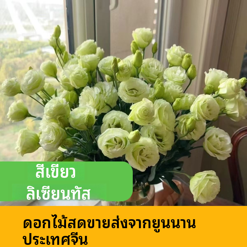 คละสี ลิเซียนตัส ยูสโตมา ก้านตัดสดจำนวนมาก | ขาว ชมพู ม่วง เขียว ดอกผสม