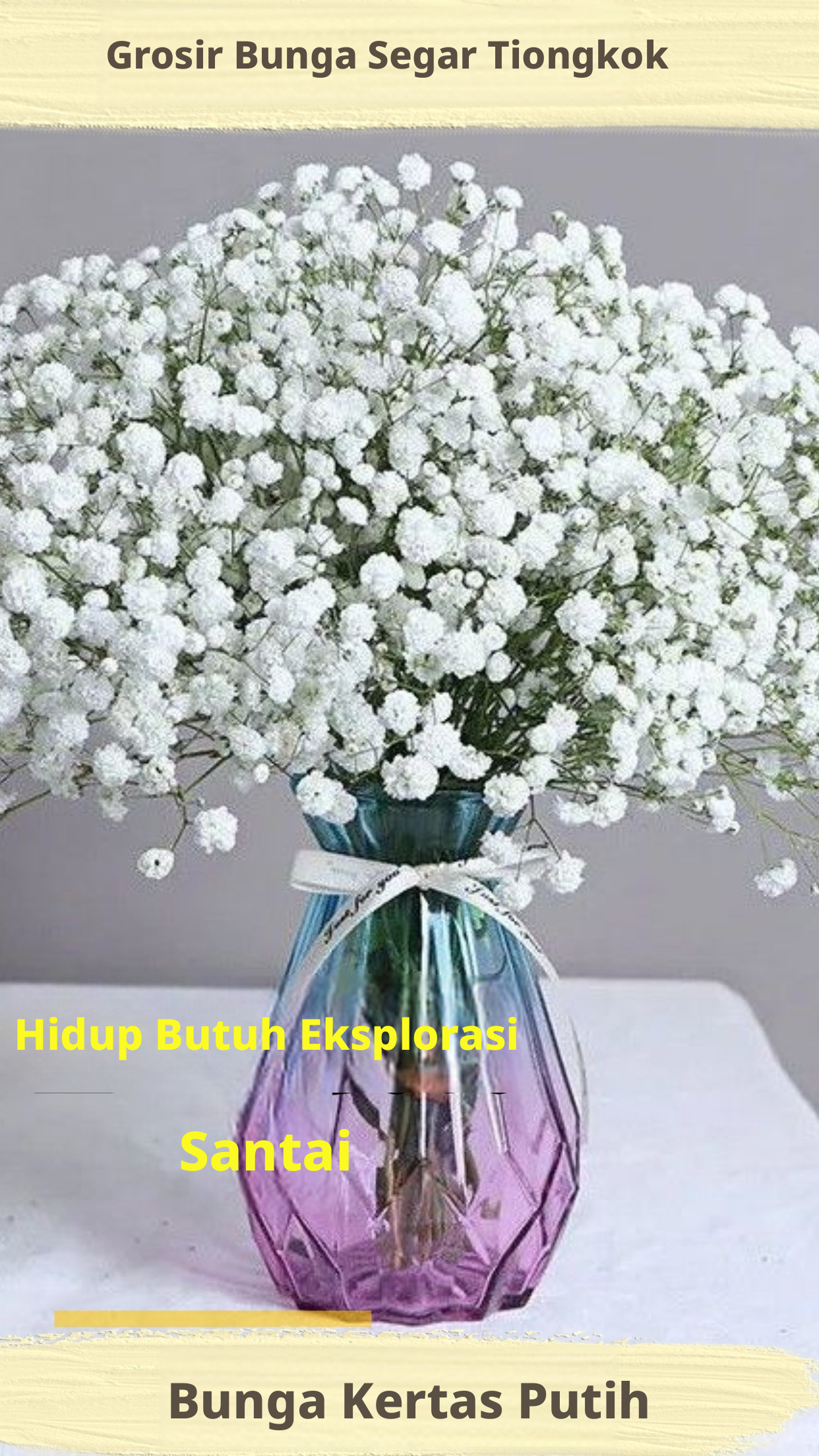 Buket Gipsi Segar Yunnan Kunming | Bunga Potong Segar Alami | Bunga Dekorasi Rumah Bunga Pernikahan