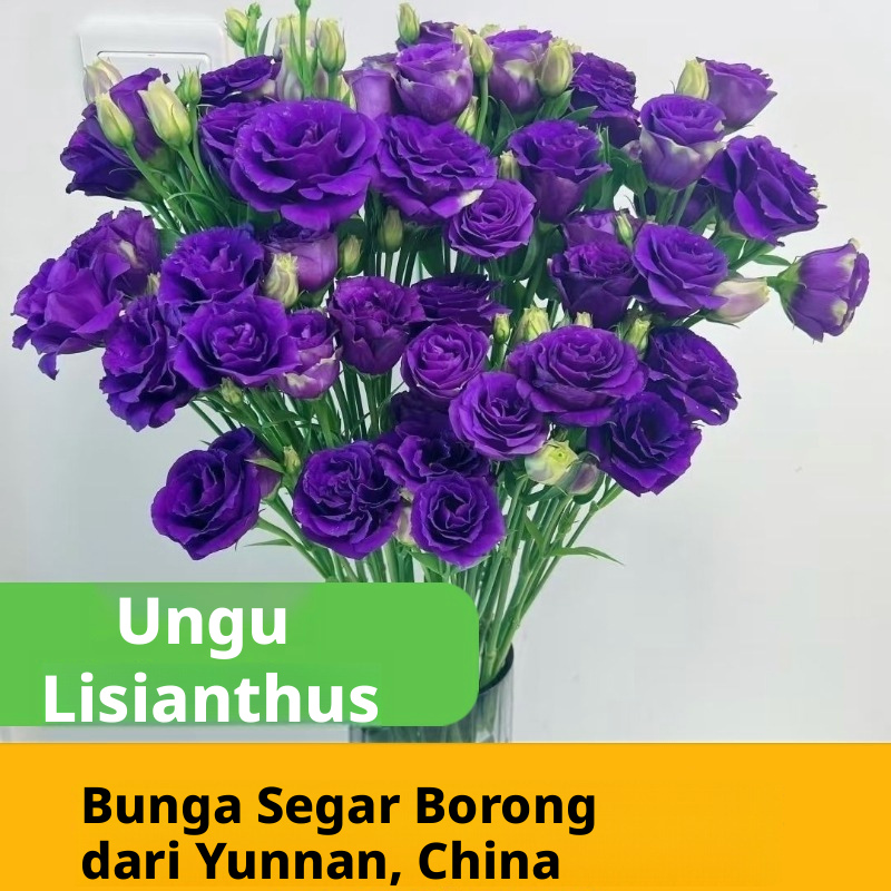 Pelbagai Warna Lisianthus Eustoma Batang Potongan Segar Pukal | Putih Merah Jambu Ungu Hijau Bunga Campuran