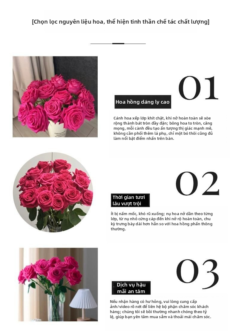 Hoa hồng Floyd màu hồng tươi | Hoa hồng Fuchsia nóng Đầu lớn Thân dài Hoa hồng cắt sang trọng cho bó hoa cưới