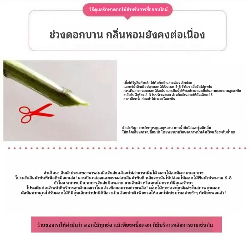 ช่อดอกไม้ยิปโซฟิล่าสดในคุนหมิง ยูนนาน | ไม้ตัดดอกสดธรรมชาติ | ดอกไม้แต่งงาน ดอกไม้ตกแต่งบ้าน
