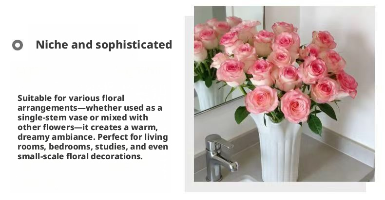 Fresh Cut Jumilia Elsa Rose | White Base Pink Edge Long Stem Cut Rose for Wedding Bouquet Decor