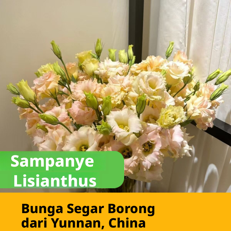 Pelbagai Warna Lisianthus Eustoma Batang Potongan Segar Pukal | Putih Merah Jambu Ungu Hijau Bunga Campuran