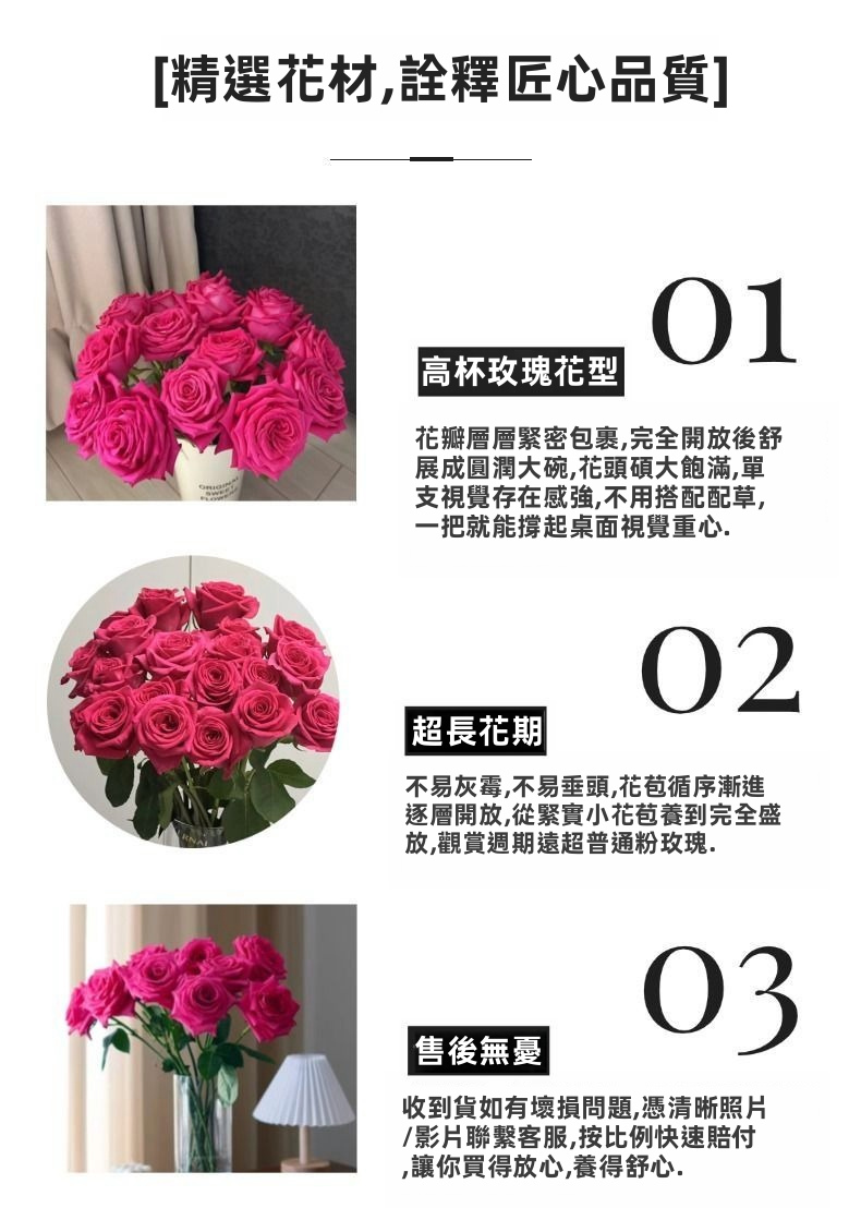 鮮切粉紅弗洛伊德玫瑰|熱紫紅色大頭長莖豪華切割玫瑰婚禮花束