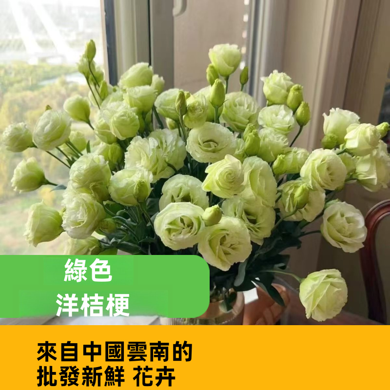 Assorted Multicolor Lisianthus Eustoma Fresh Cut Stems Bulk White Pink Purple Green Mixed Blooms
