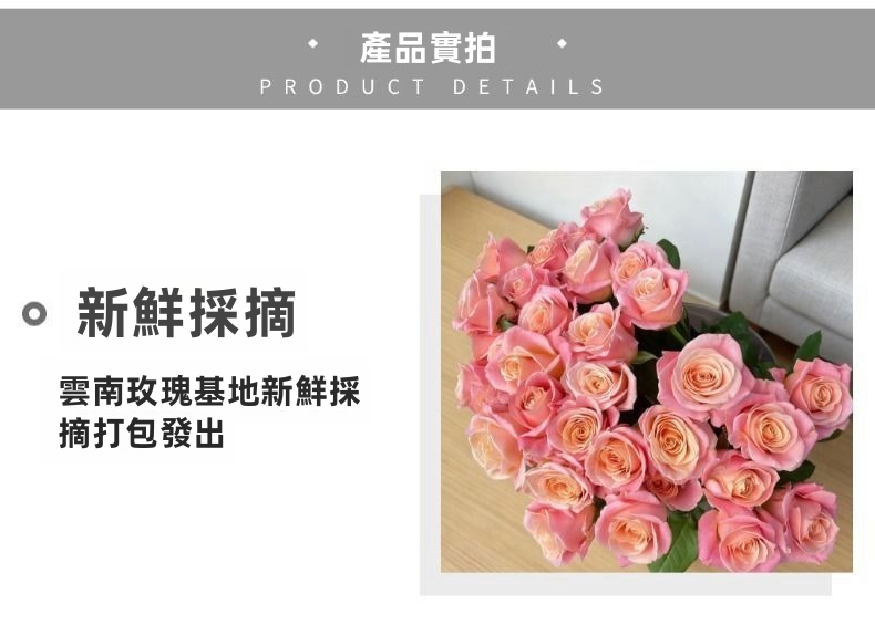 Miss Fresh Cut Piglet Rose