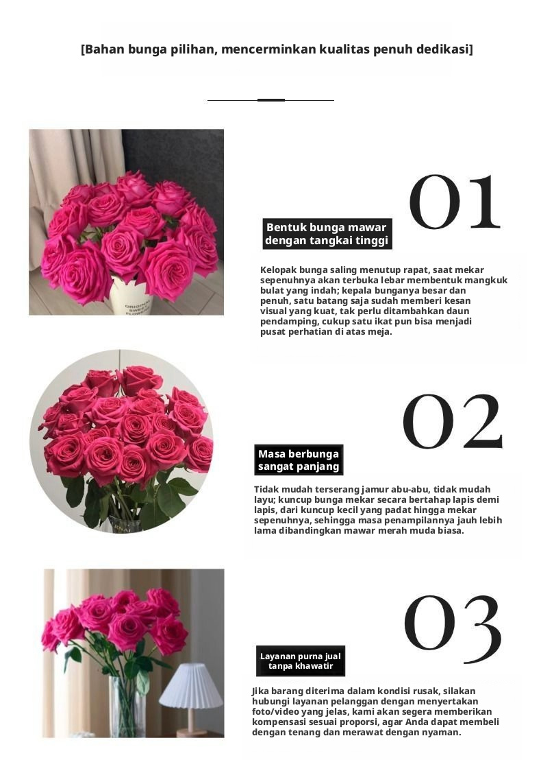 Fresh Cut Pink Floyd Rose | Hot Fuchsia Kepala Besar Batang Panjang Mawar Potongan Mewah untuk Buket Pernikahan