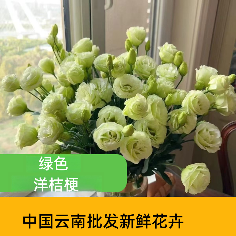 Assorted Multicolor Lisianthus Eustoma Fresh Cut Stems Bulk White Pink Purple Green Mixed Blooms
