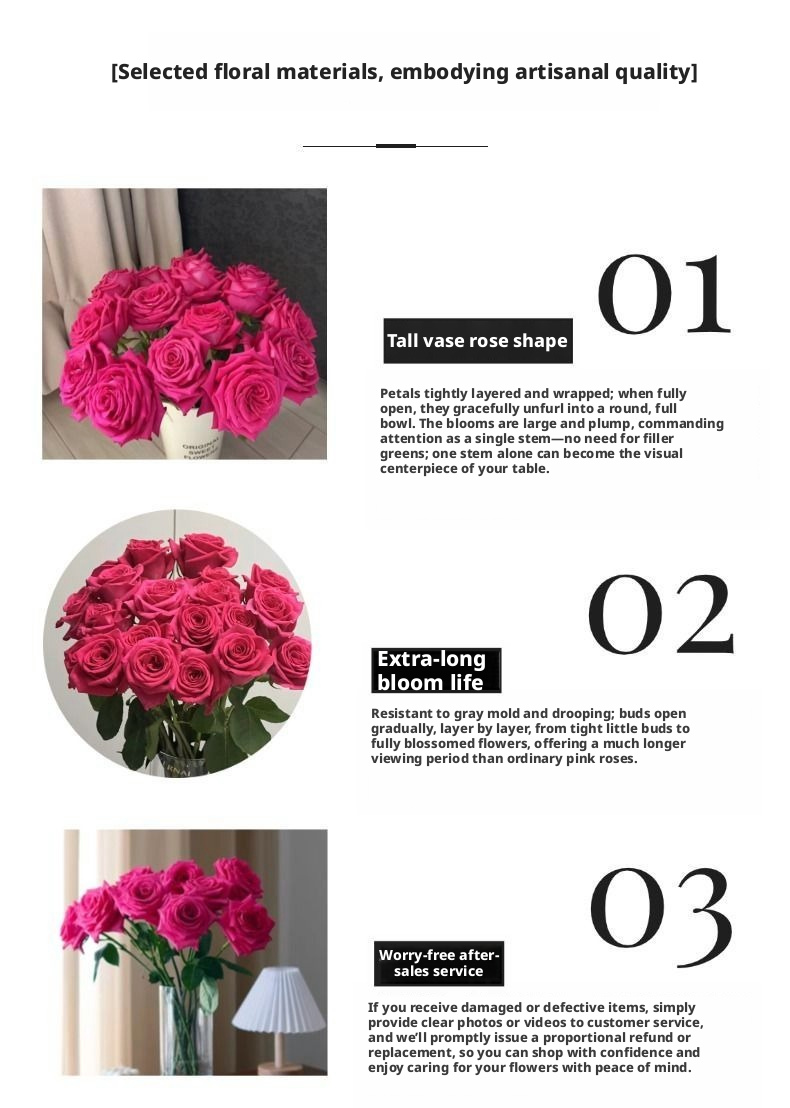 Fresh Cut Pink Floyd Rose | Hot Fuchsia Large Head Long Stem Luxury Cut Rose for Wedding Bouquet