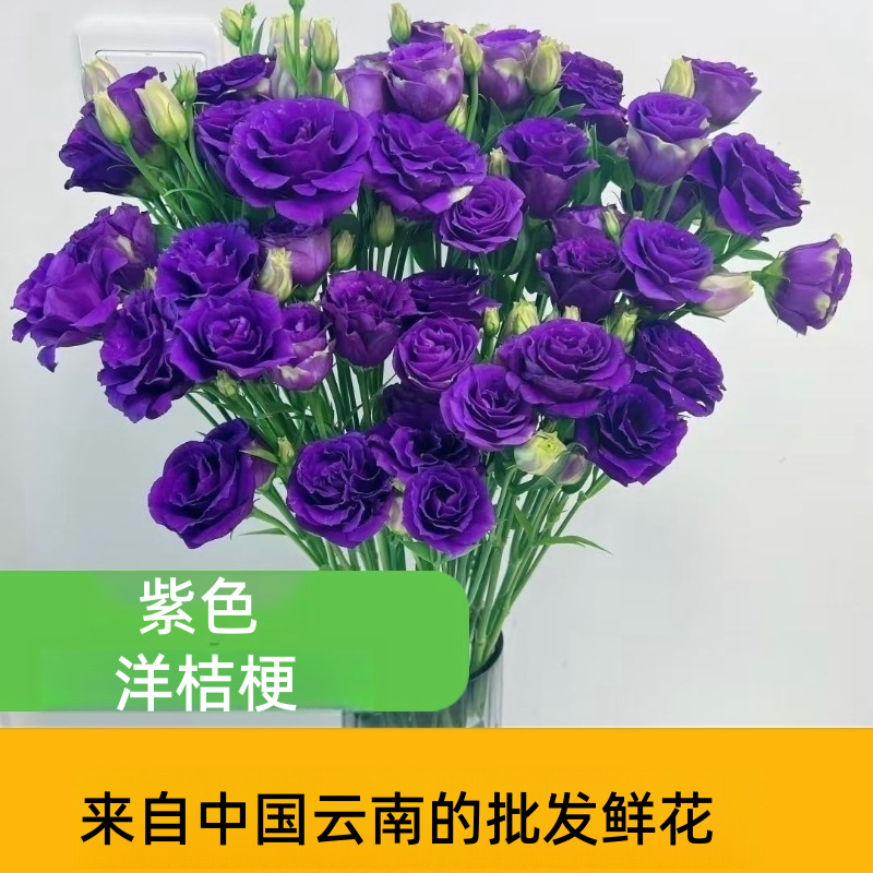 Assorted Multicolor Lisianthus Eustoma Fresh Cut Stems Bulk White Pink Purple Green Mixed Blooms