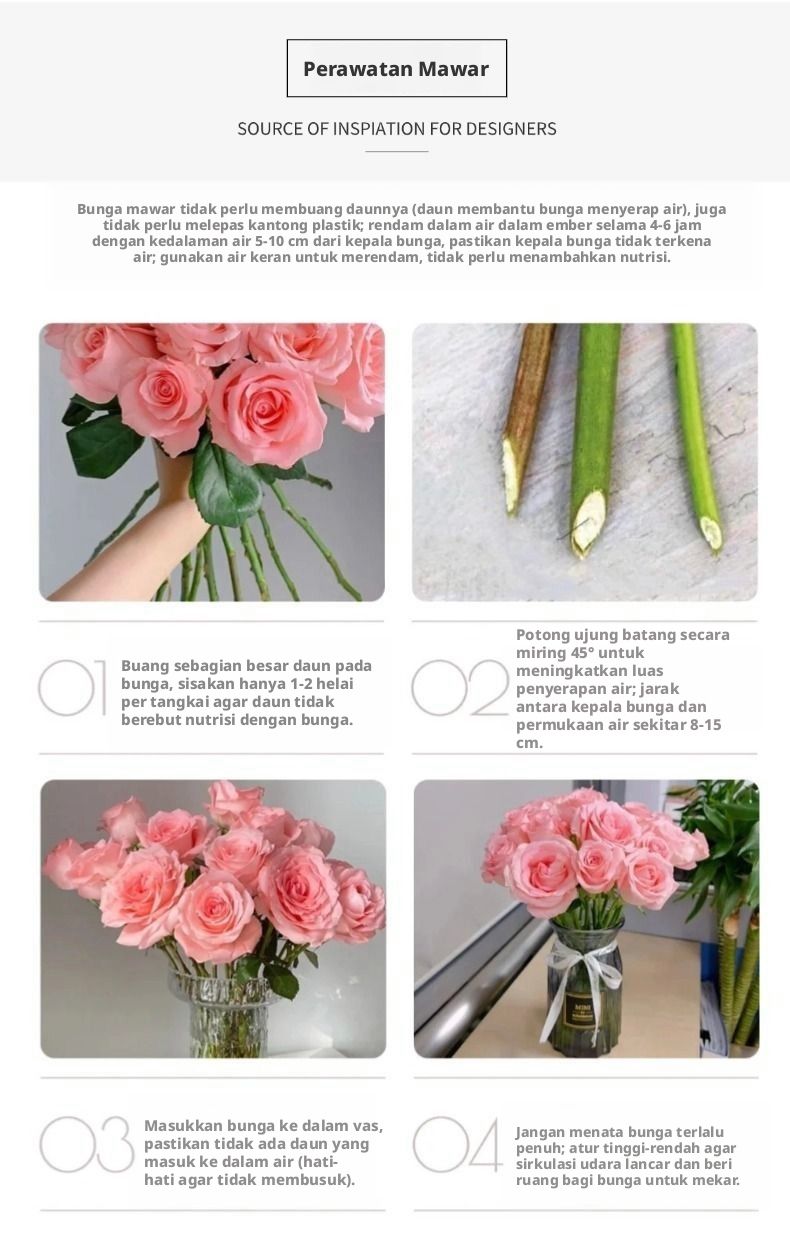 Potong Segar Putri Diana Rose | Mawar Teh Hibrida Batang Panjang Peach Pink yang Elegan untuk Buket Pernikahan