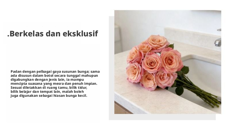 Potongan Segar Cik Piggy Rose | Cik Zhu Peach Merah Jambu Ombre Batang Panjang Potong Mawar untuk Sejambak Perkahwinan