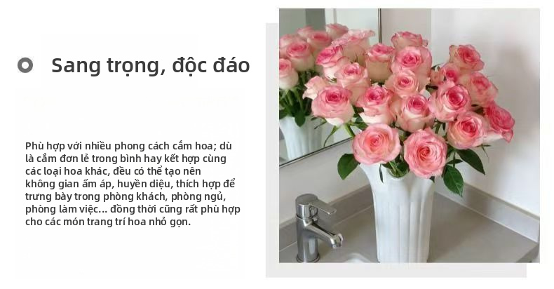 Hoa hồng tươi cắt Jumilia Elsa | Màu trắng Cơ sở màu hồng Cạnh dài Cắt hoa hồng cho trang trí bó hoa cưới