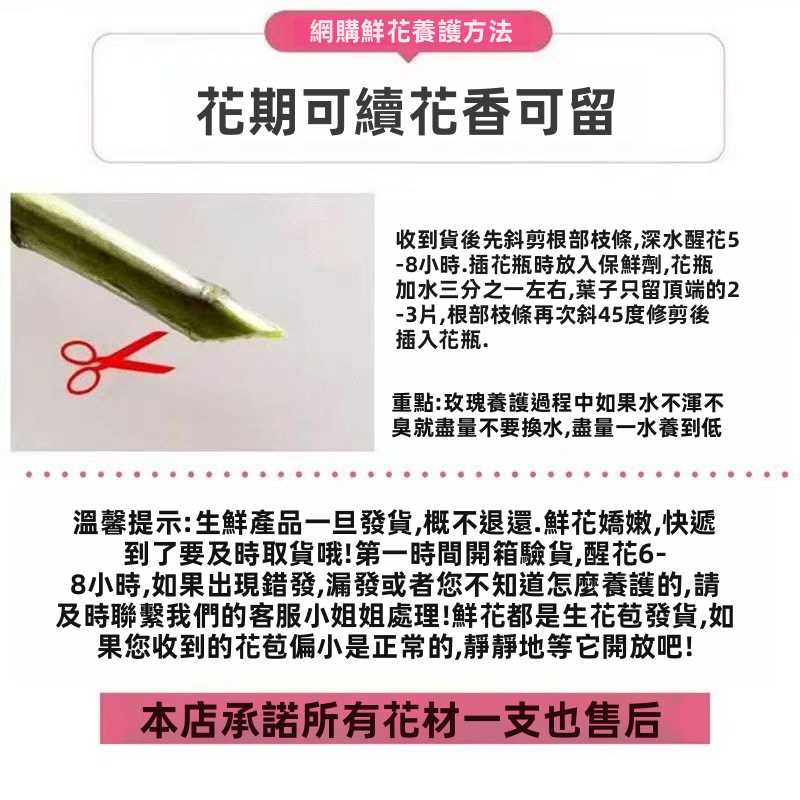 雲南昆明新鮮滿天星花束｜天然鮮切花｜婚禮花藝家居裝飾鮮花