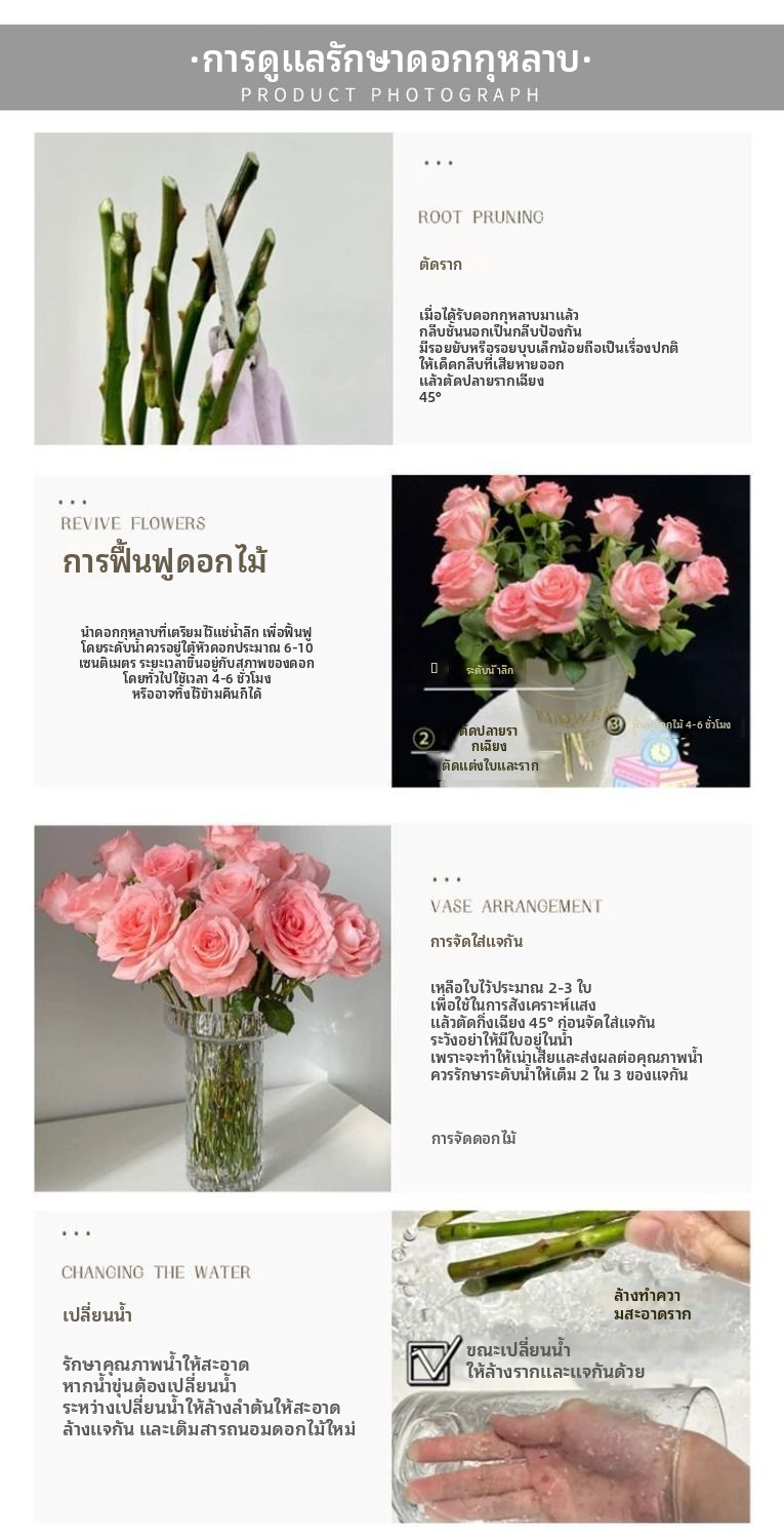 จูมิเลีย เอลซ่า โรส ตัดสด | ฐานสีขาว ขอบสีชมพู กุหลาบตัดก้านยาว สำหรับตกแต่งช่อดอกไม้งานแต่งงาน