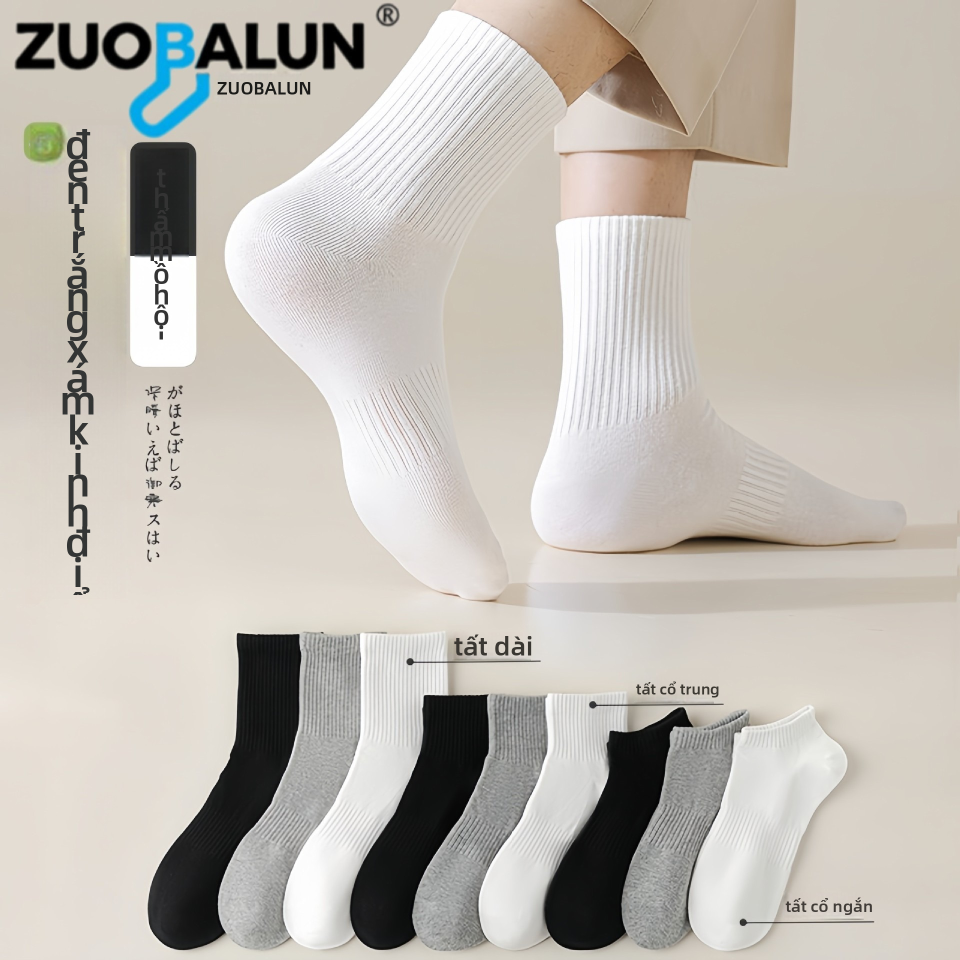Zobaren Socks Black and White Gray Solid Color Antibacterial Waist Tube Socks Breathable Deodorant Business Leisure Student Sports Socks