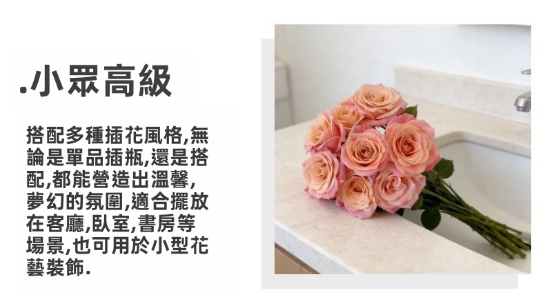 Miss Fresh Cut Piglet Rose