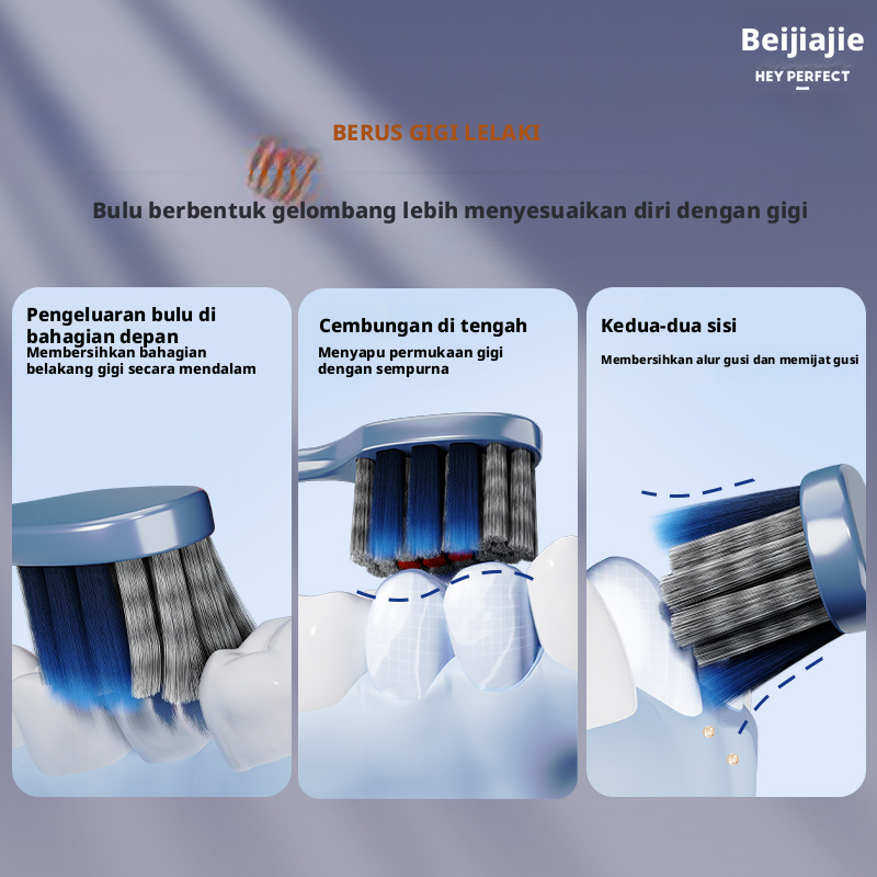 Berus Gigi Dewasa Beijiajie Bulu Keras Sederhana, Penjagaan Gusi Pembersihan Dalam, China