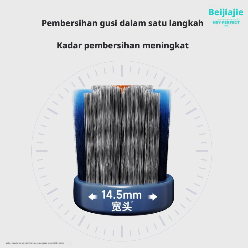 Berus Gigi Dewasa Beijiajie Bulu Keras Sederhana, Penjagaan Gusi Pembersihan Dalam, China