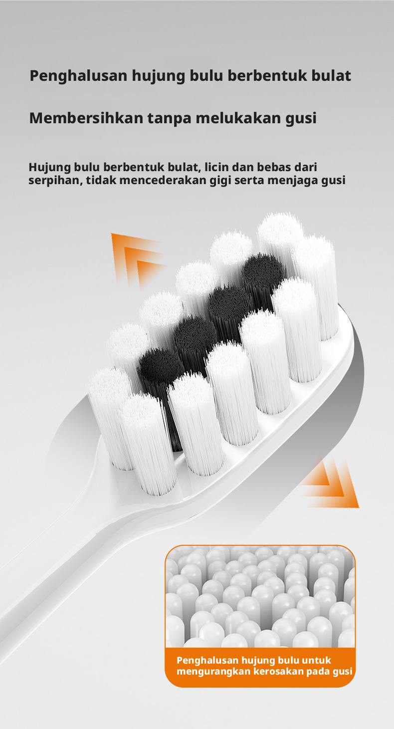 Berus Gigi Dewasa Beijiajie Bulu Keras Sederhana, Penjagaan Gusi Pembersihan Dalam, China