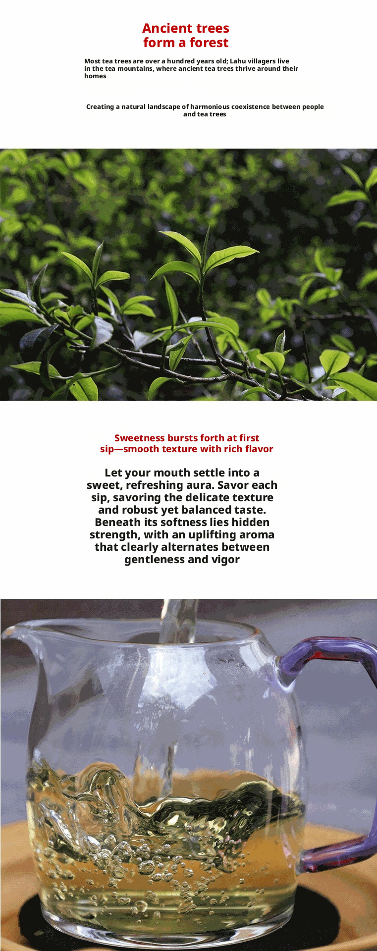 Nayu Bulang Mountain Hekai Ancient Tree Raw Pu-erh Tea, Loose Leaf Sheng Pu from Menghai, Yunnan, 500g