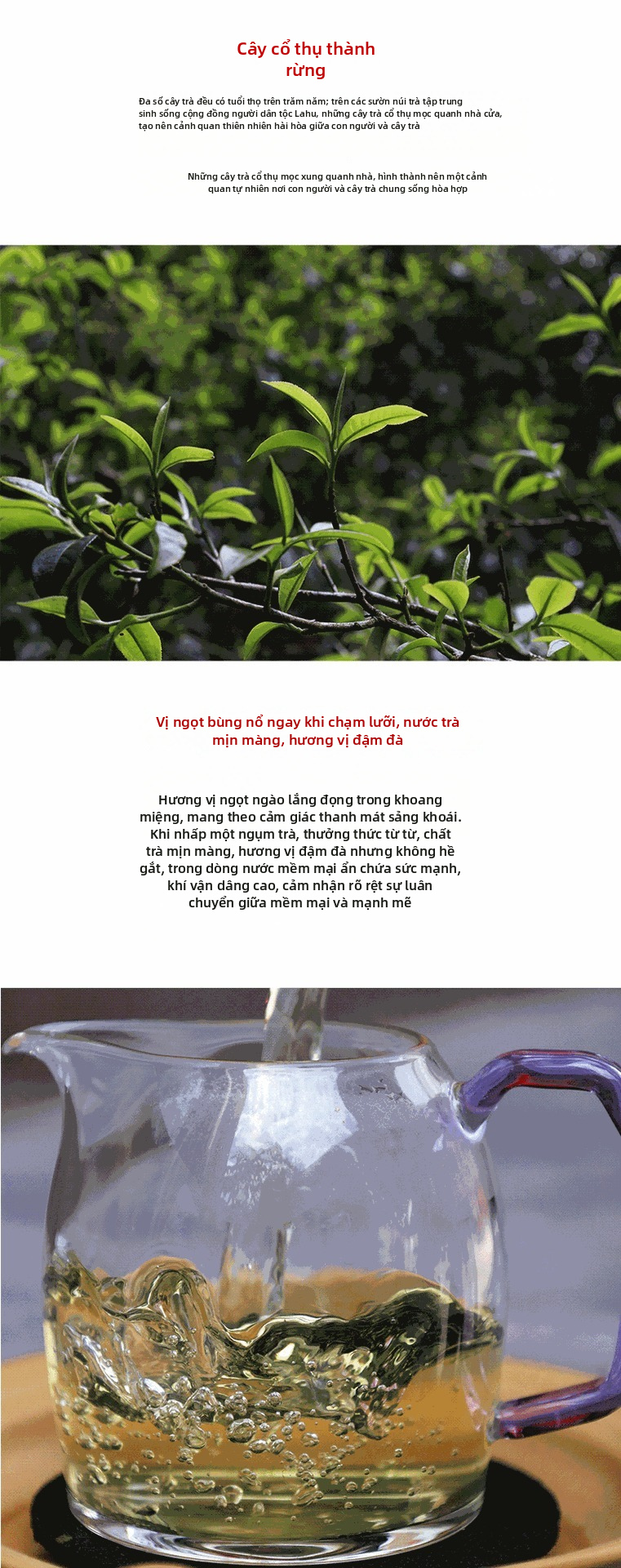 Trà Pu-erh nguyên bản từ cây cổ thụ Hekai trên núi Nayu Bulang, loại lá lỏng Sheng Pu đến từ Menghai, Vân Nam, 500g