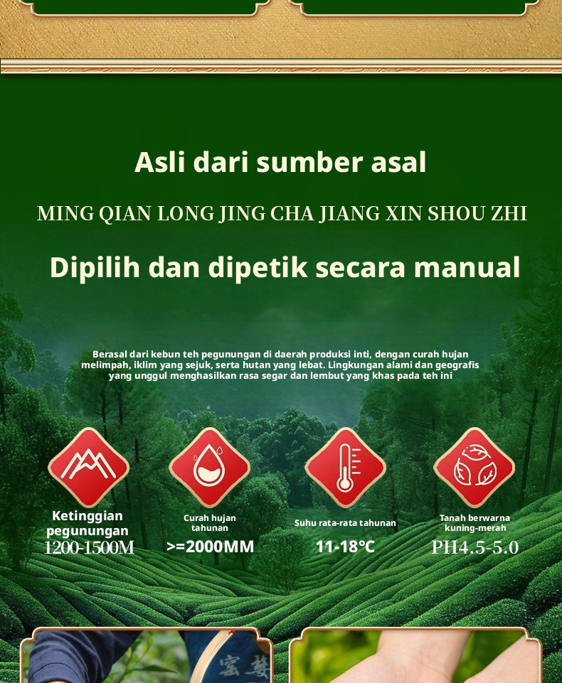 Teh Hijau Longjing, Kemasan Ember 250g, Panen Pertama Musim Semi, Aroma Kacang, Teh Daun Loose untuk Konsumsi Sehari-hari atau Sebagai Hadiah.