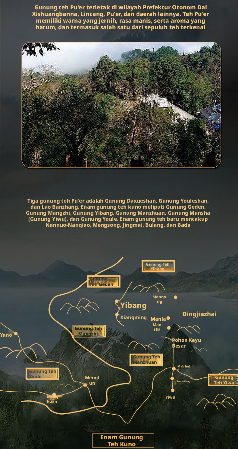 Yunnan Menghai Pu-erh Teh Kering 357g, Sudah Disimpan Lebih dari 10 Tahun, Pu-erh Shou dari Pohon Tua untuk Minum di Rumah