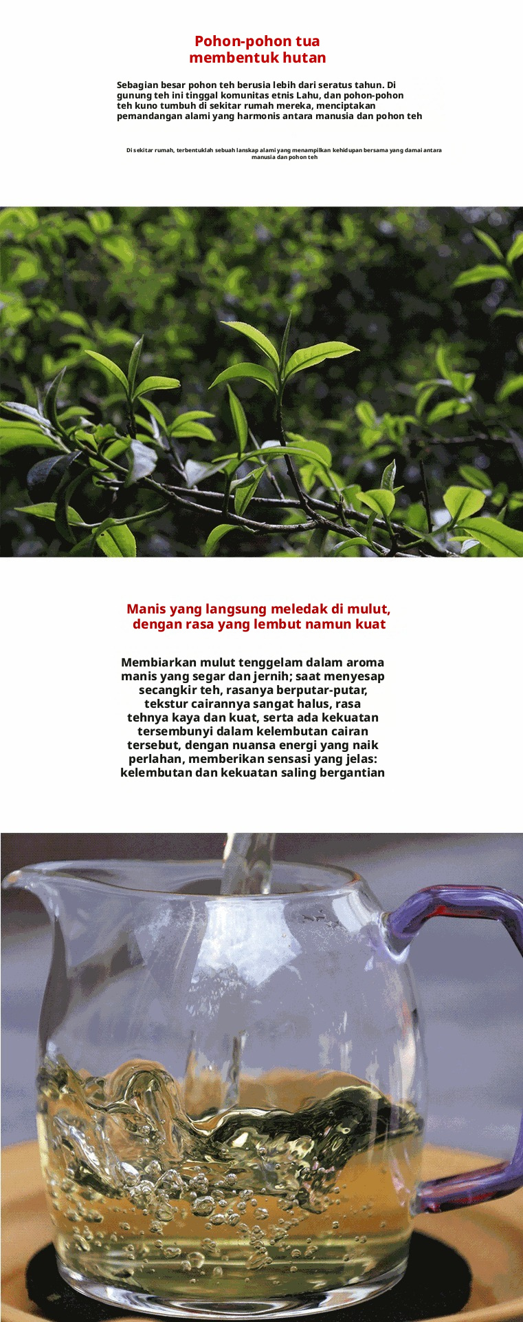 Teh Pu-erh Kuno Raw dari Pohon di Gunung Nayu Bulang Hekai, Daun Longgar Sheng Pu dari Menghai, Yunnan, 500g