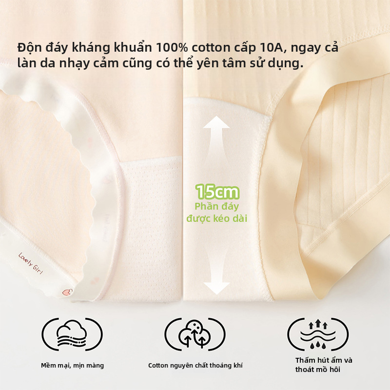 Quần lót tam giác bằng vải cotton dành cho phụ nữ, cạp cao, chống khuẩn, thấm hút, dành cho người mặc size lớn