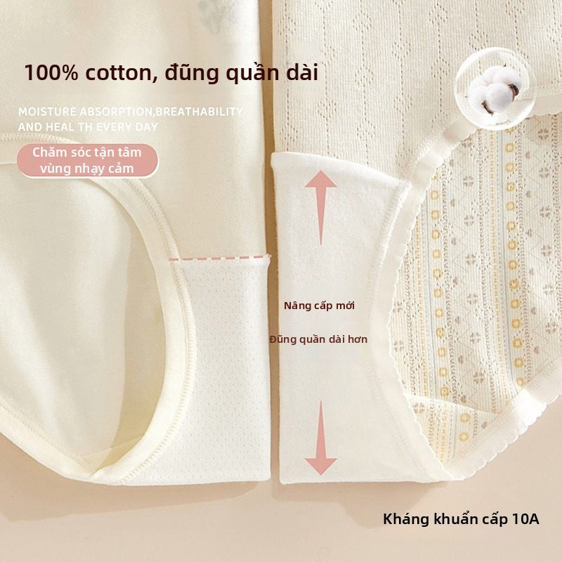 Quần lót cotton dành cho phụ nữ, cạp cao, kích cỡ lớn, chống vi khuẩn, kiểu tam giác không đường may