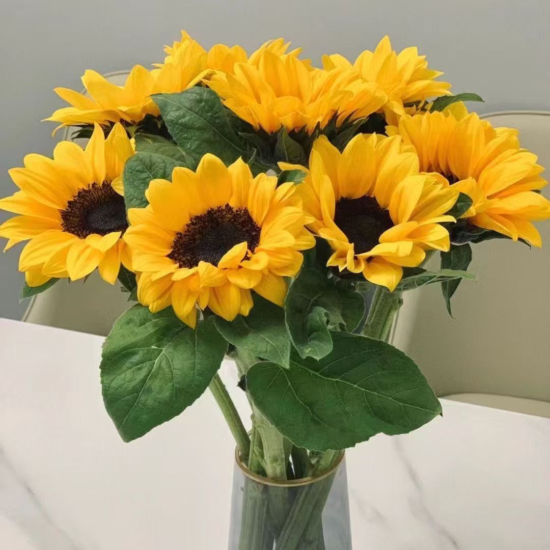 Fresh Cut Sunflowers From Yunnan Natural Fresh Flower For Home Bouquet Decor