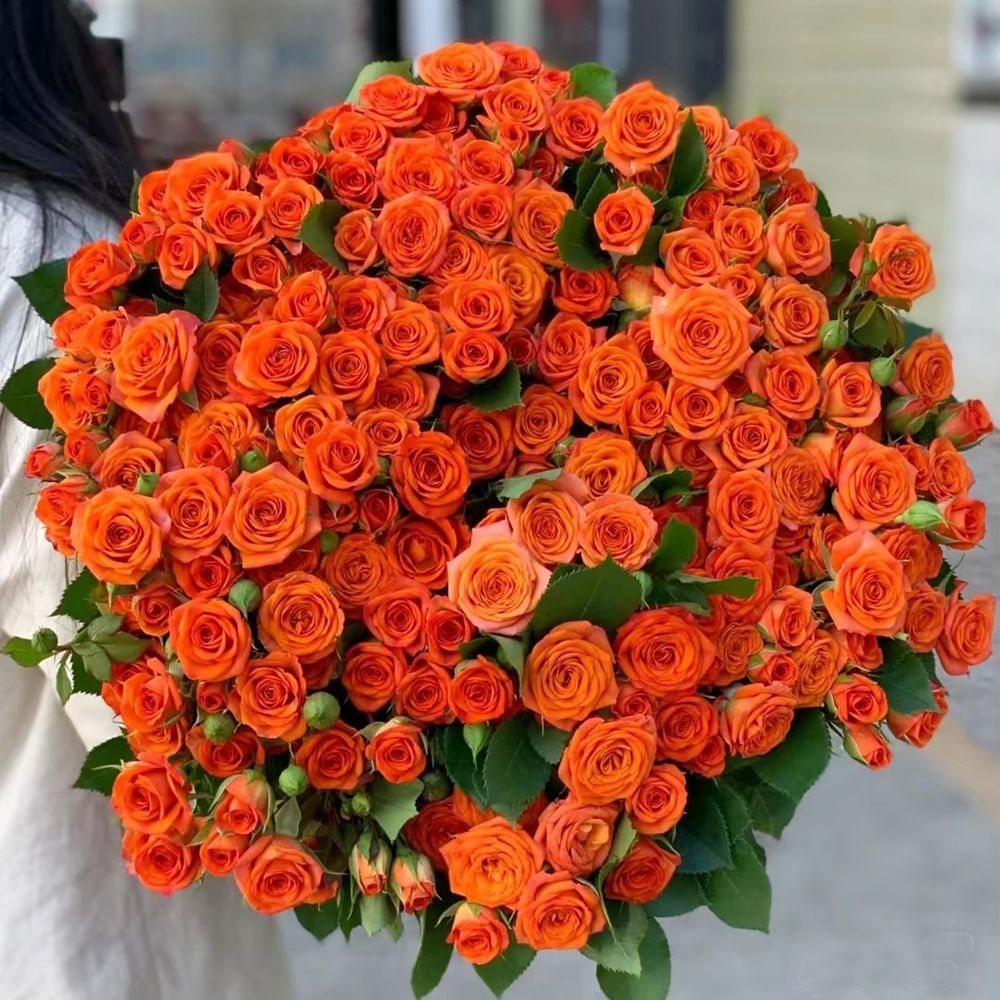 Fresh Cut Orange Barbie Spray Roses | Orange Jewel Multi-head Roses for Home Wedding Decor