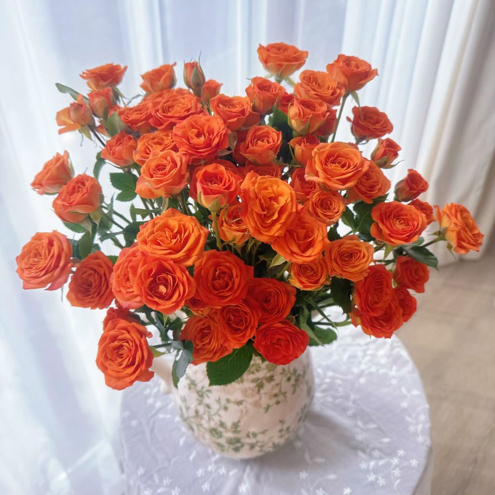 Fresh Cut Orange Barbie Spray Roses | Orange Jewel Multi-head Roses for Home Wedding Decor