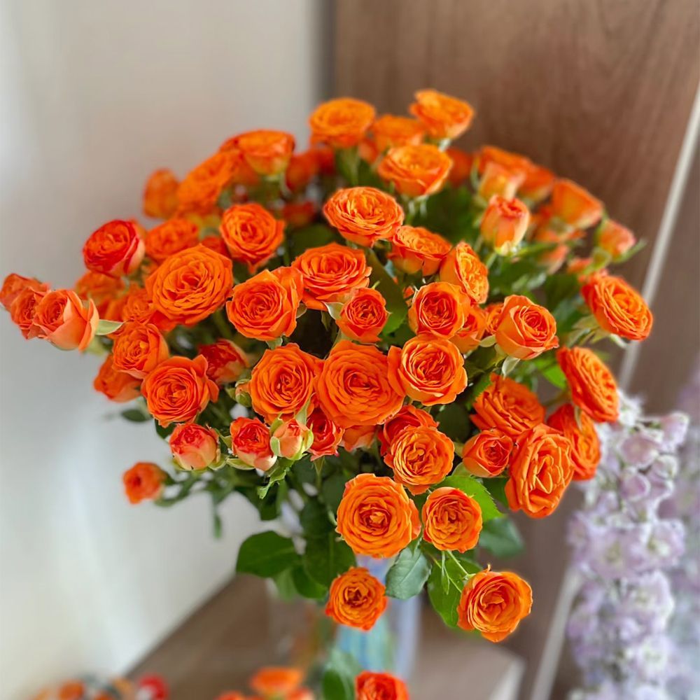 Fresh Cut Orange Barbie Spray Roses | Orange Jewel Multi-head Roses for Home Wedding Decor