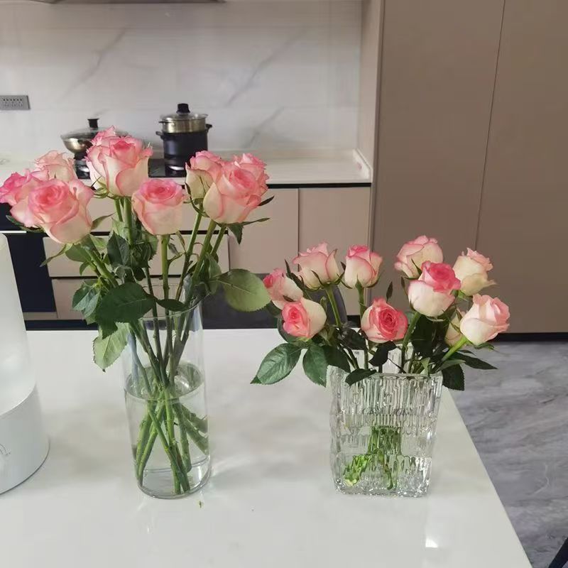 Fresh Cut Jumilia Elsa Rose | White Base Pink Edge Long Stem Cut Rose for Wedding Bouquet Decor