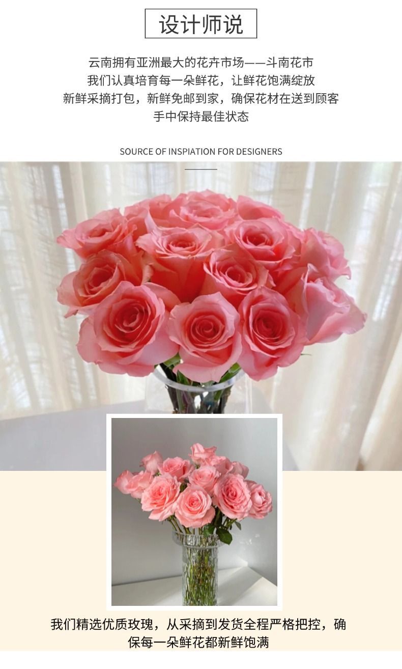 Fresh Cut Princess Diana Rose | Elegant Peach Pink Long Stem Hybrid Tea Rose for Wedding Bouquet
