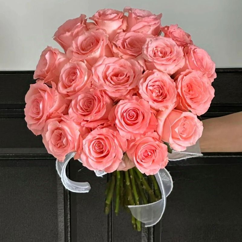 Fresh Cut Princess Diana Rose | Elegant Peach Pink Long Stem Hybrid Tea Rose for Wedding Bouquet
