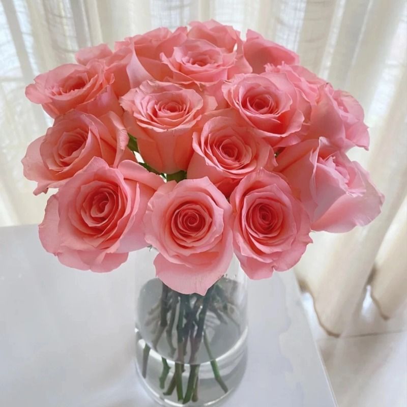 Fresh Cut Princess Diana Rose | Elegant Peach Pink Long Stem Hybrid Tea Rose for Wedding Bouquet