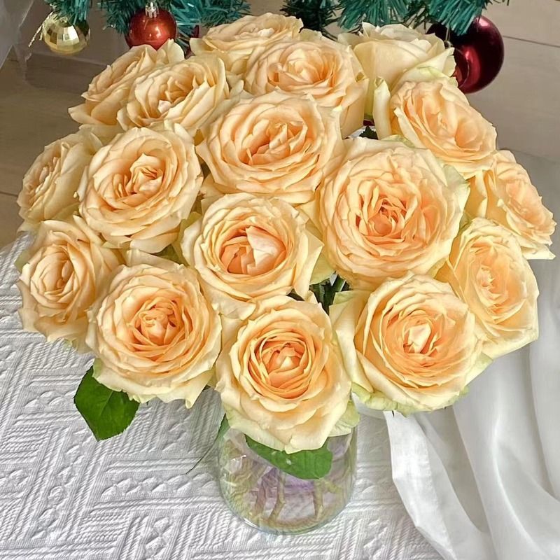 Fresh Cut Champagne Rose Cream Apricot Long Stem Cut Flower for Wedding Bouquet Decor