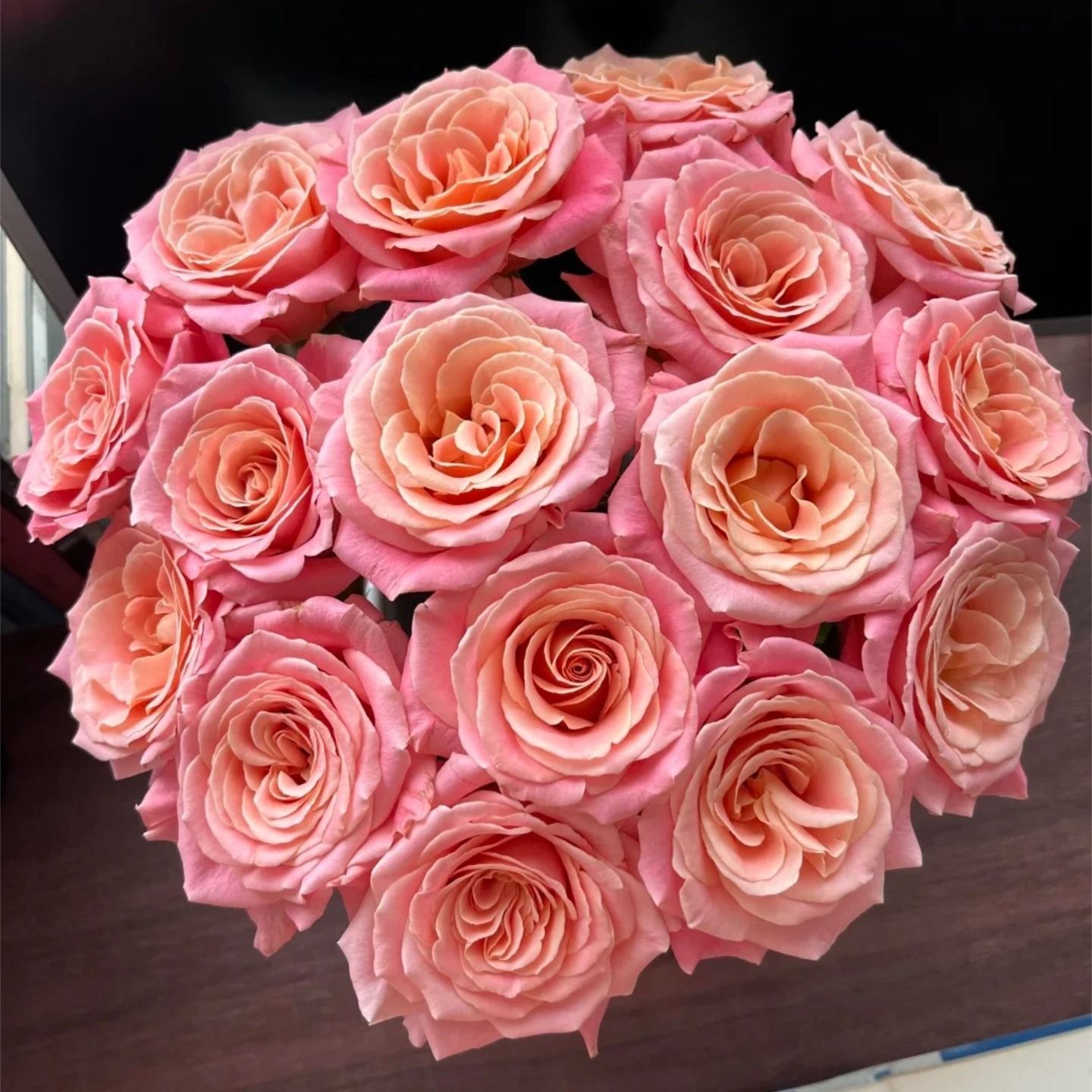 Fresh Cut Miss Piggy Rose | Miss Zhu Peach Pink Ombre Long Stem Cut Rose for Wedding Bouquet