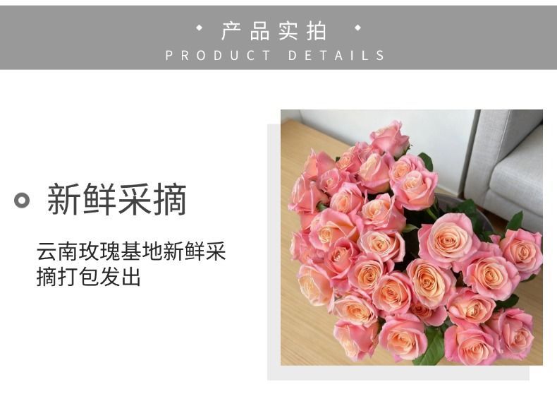 Fresh Cut Miss Piggy Rose | Miss Zhu Peach Pink Ombre Long Stem Cut Rose for Wedding Bouquet
